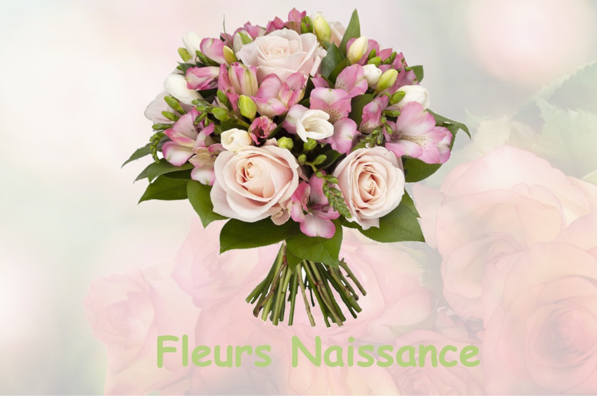 fleurs naissance L-EGLISE-AUX-BOIS